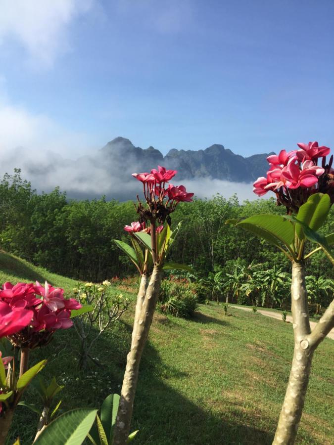 Billion Views Khaosok Homestay Khao Sok National Park Eksteriør bilde